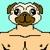 User profile avatar