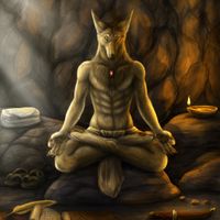 User profile avatar