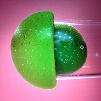 User profile avatar