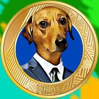 User profile avatar