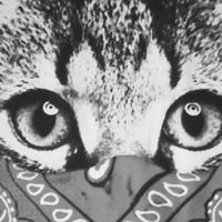 User profile avatar