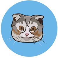 User profile avatar