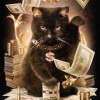 User profile avatar