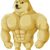 User profile avatar