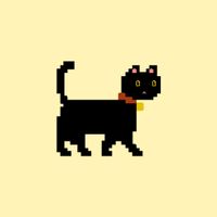 User profile avatar