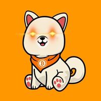 User profile avatar