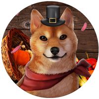 User profile avatar