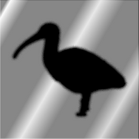 User profile avatar