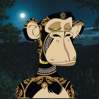 User profile avatar