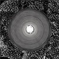 User profile avatar