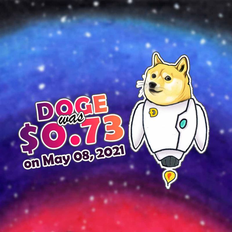 spacedoge crypto price