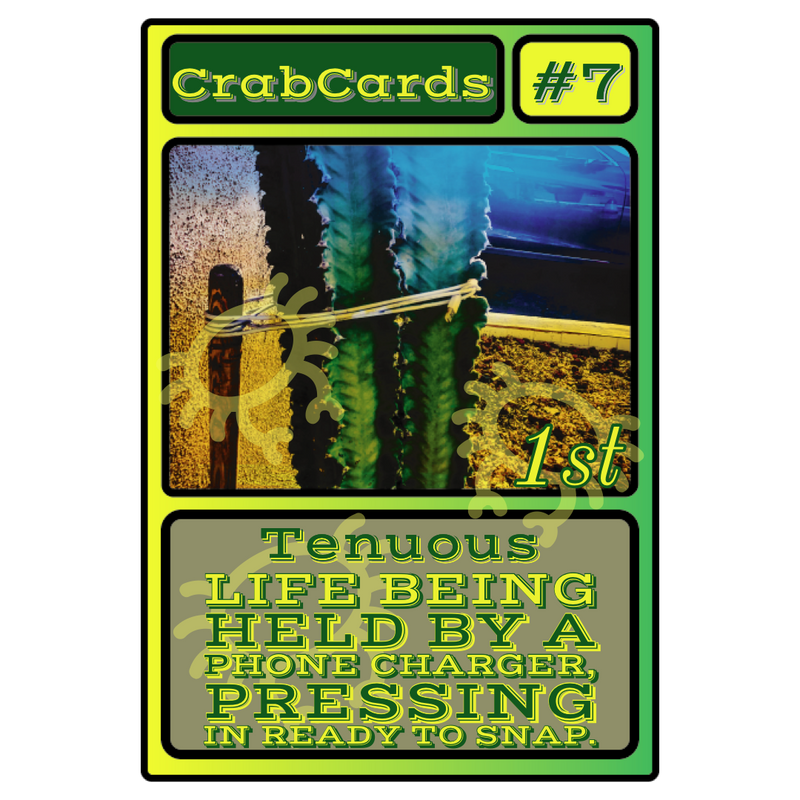 Nft Crab Cards #7