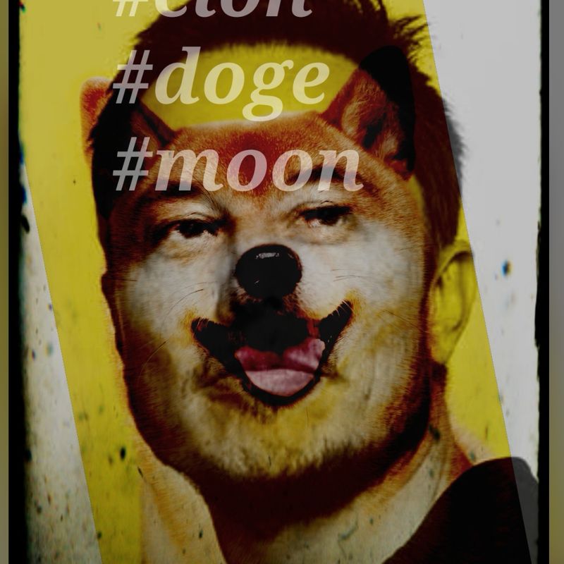 Nft Elon Doge Moon
