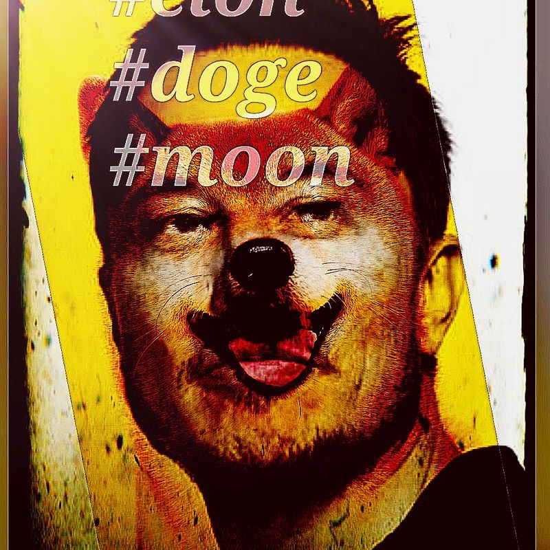 Nft Elon Doge Moon v2 (EC)