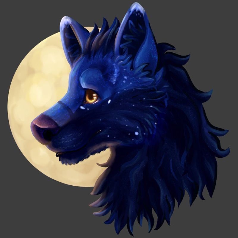 Update more than 135 anime blue wolf best - ceg.edu.vn