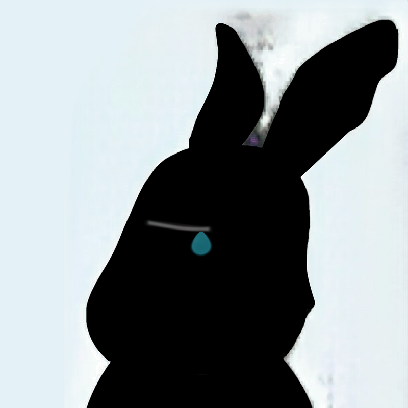 Nft Rabbit-Rabsad #13