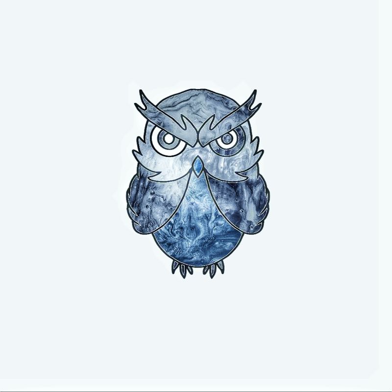 Nft Two Eye OWL#12