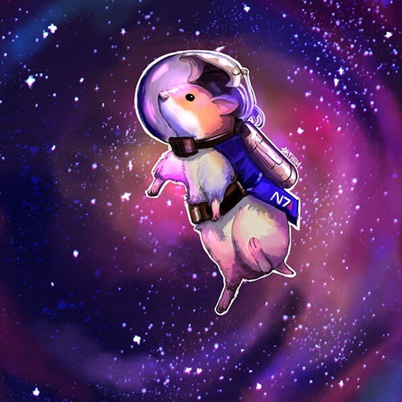 Nft Hamster to Space