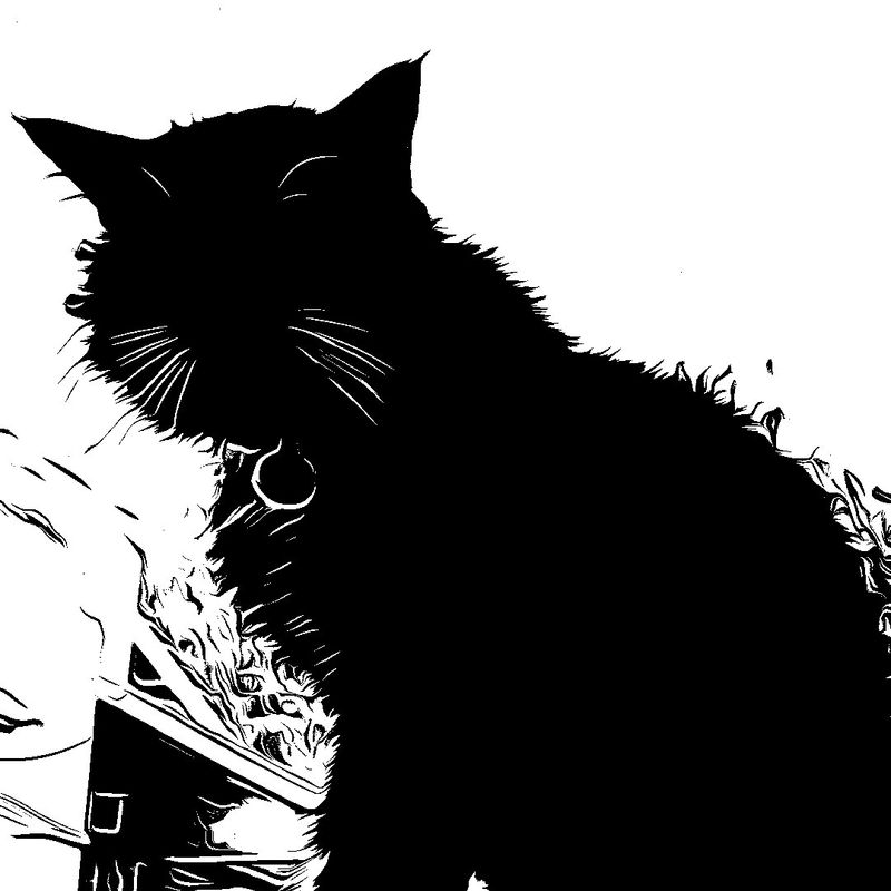 Nft KYO THE BLACK CAT