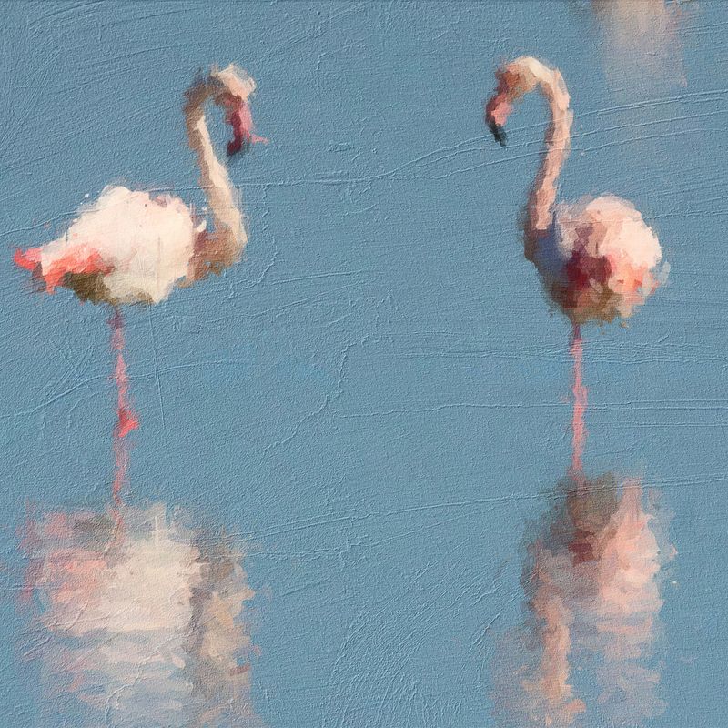 Nft Flamingos