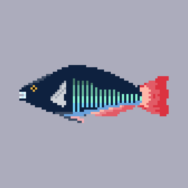 Nft Parrotfish #03