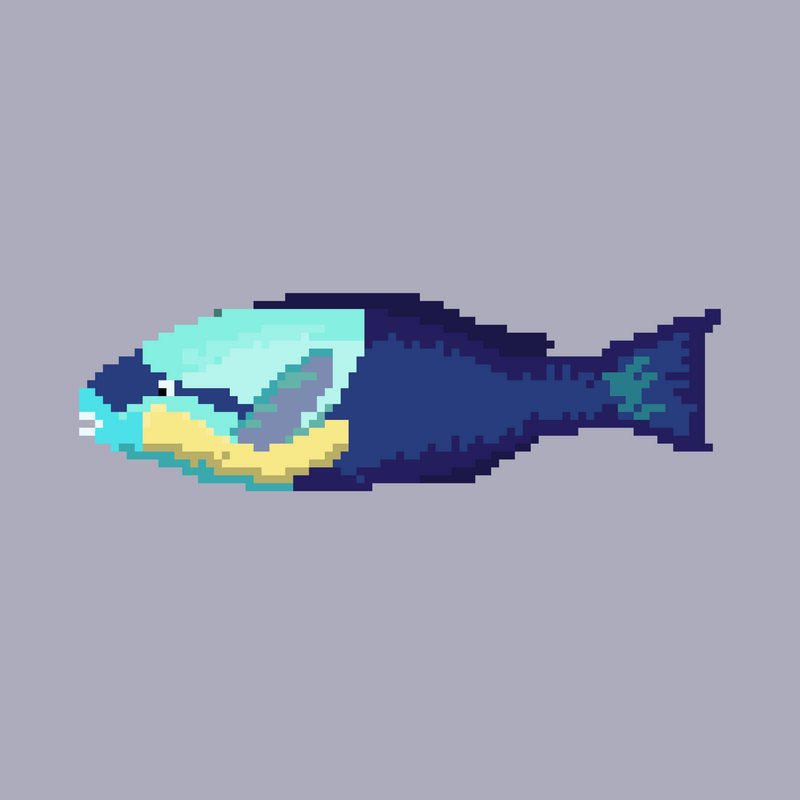 Nft Parrotfish #06
