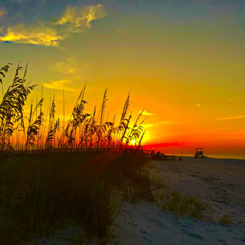 Nft Gulf Shores Sunrise