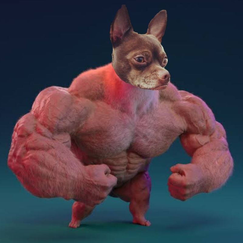 Nft SWOLE DOGGO BUDDY