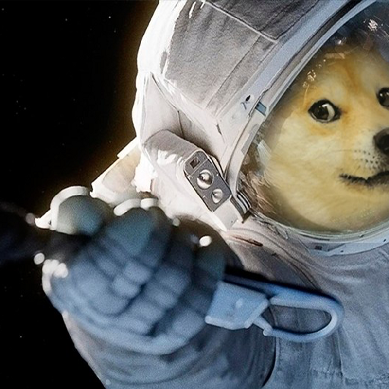 Nft Space Doge