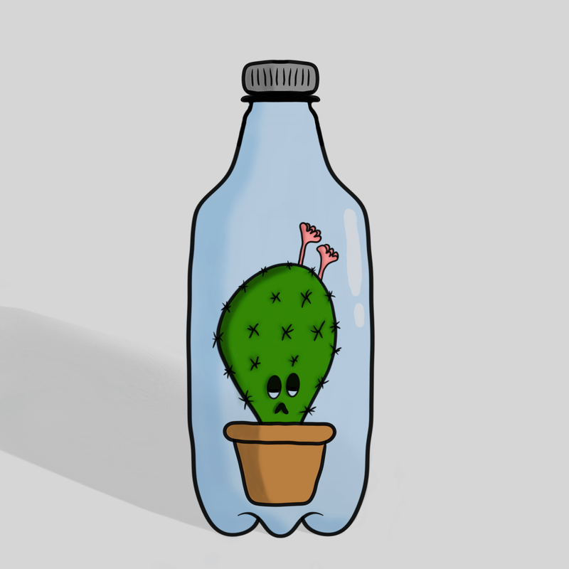 Nft Cactus in a Bottle #6