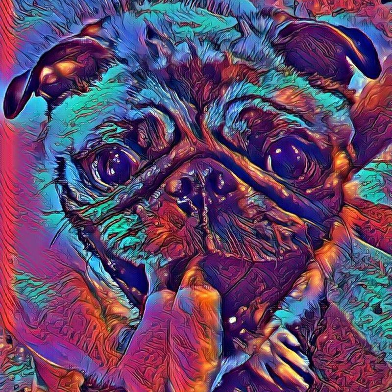 Nft Pug #1