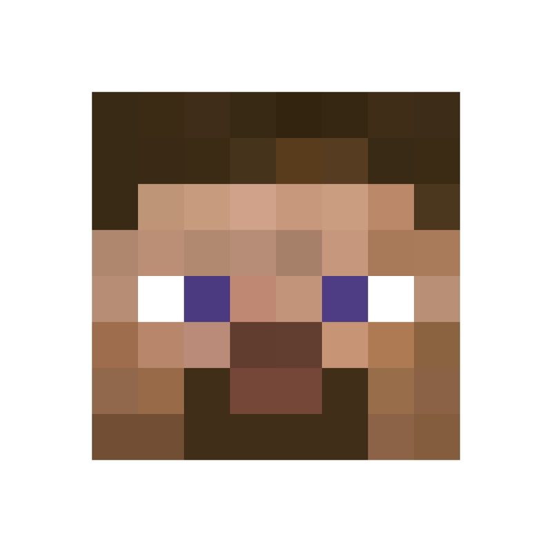 Nft Steve
