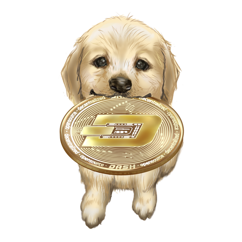 Nft Inu with Dash Coin