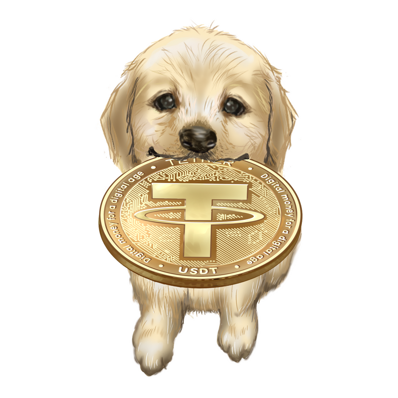 Nft Inu with USDT