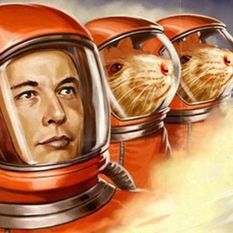 Nft Elon to the moon
