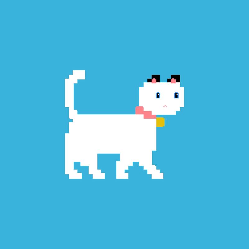 Nft Funny Cat #4