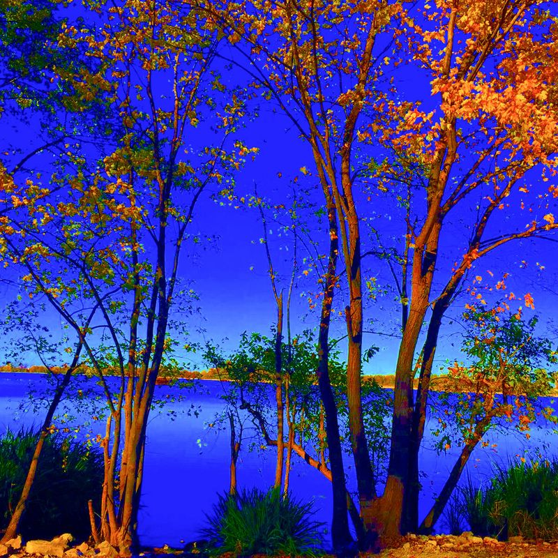 Nft Lakeside Trees
