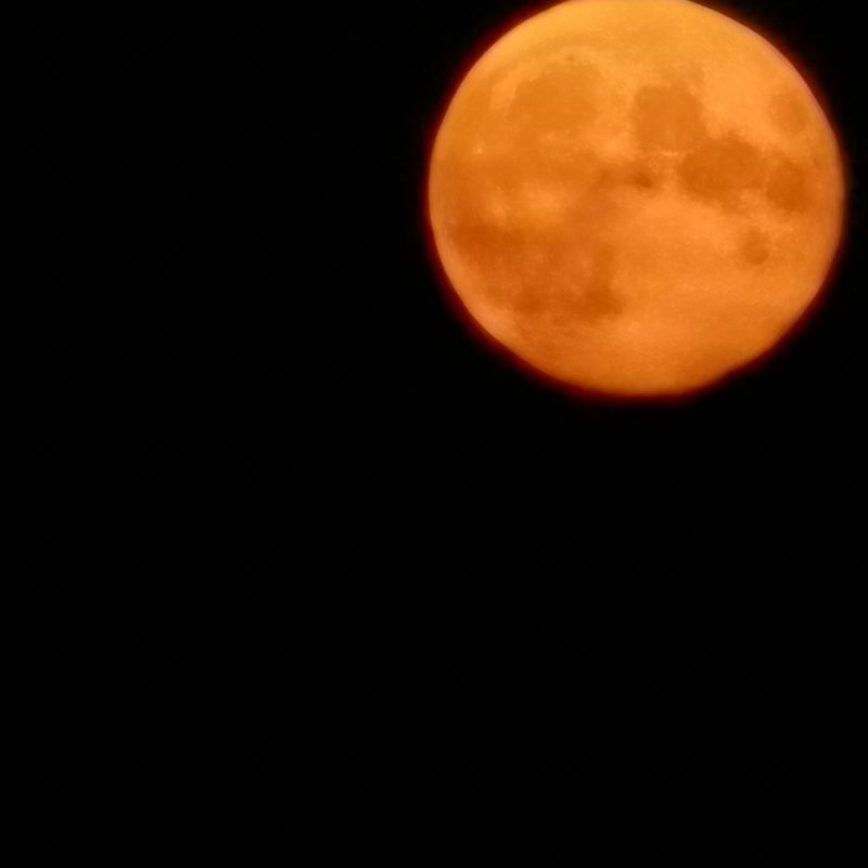 Nft Moon walk red moon