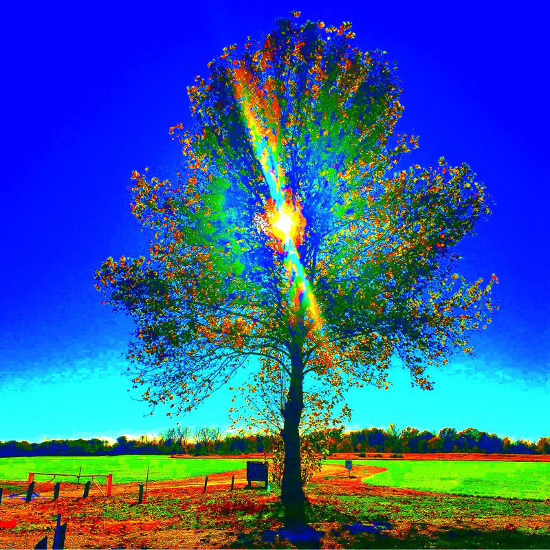 Nft Sunlight Tree