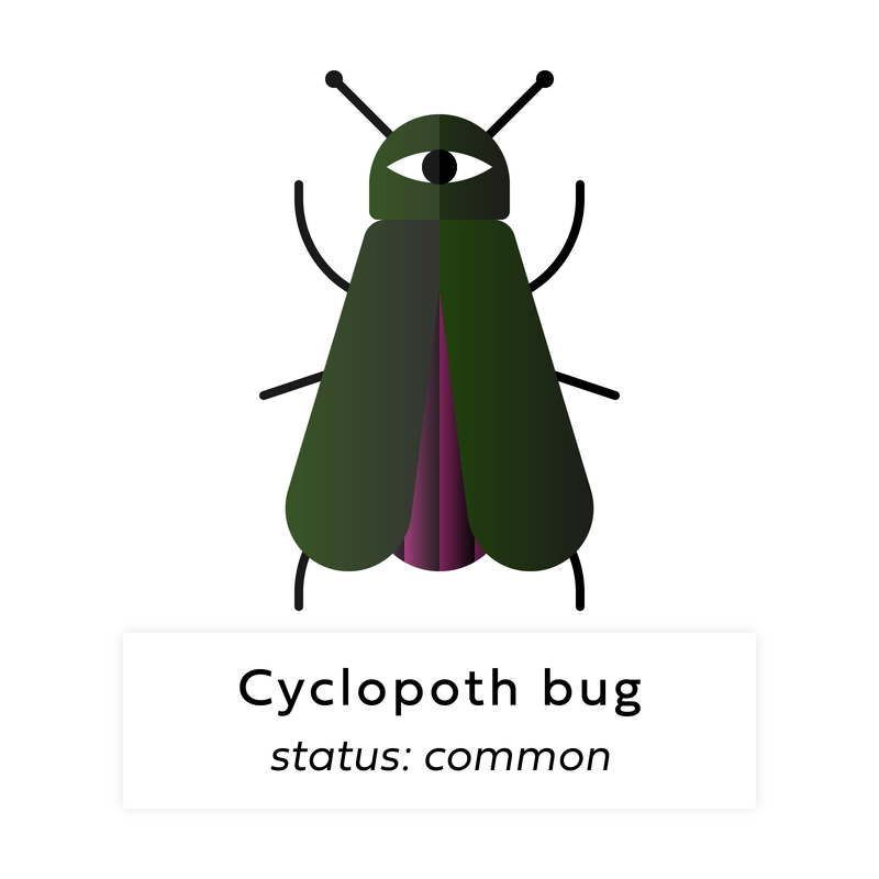 Nft Digi bug #78