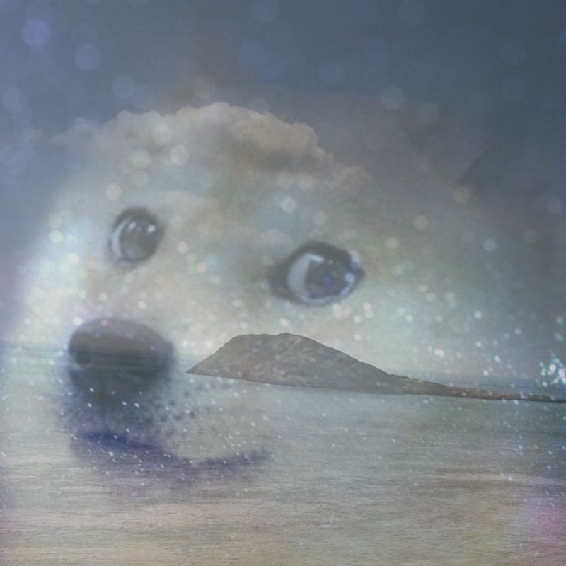 Nft Doge dog island retreat