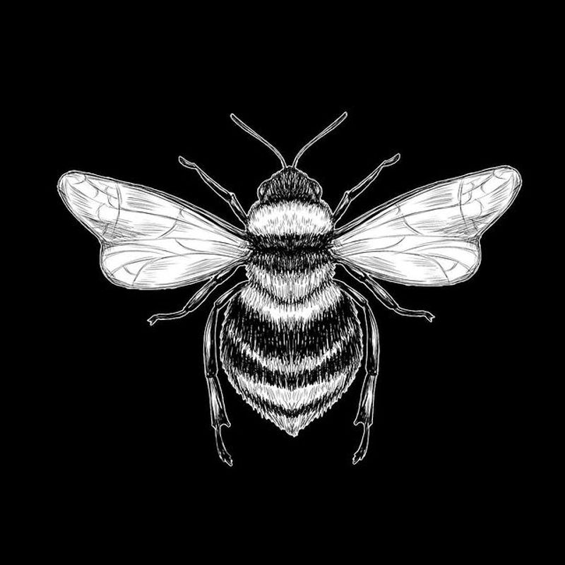 Nft Bee