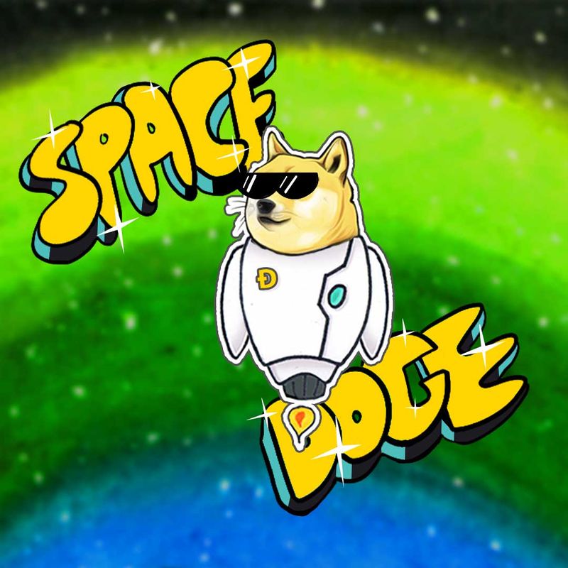 Nft Space Doge #32