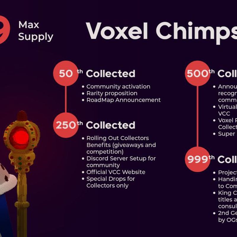 Nft Voxel Chimps Club Roadmap 