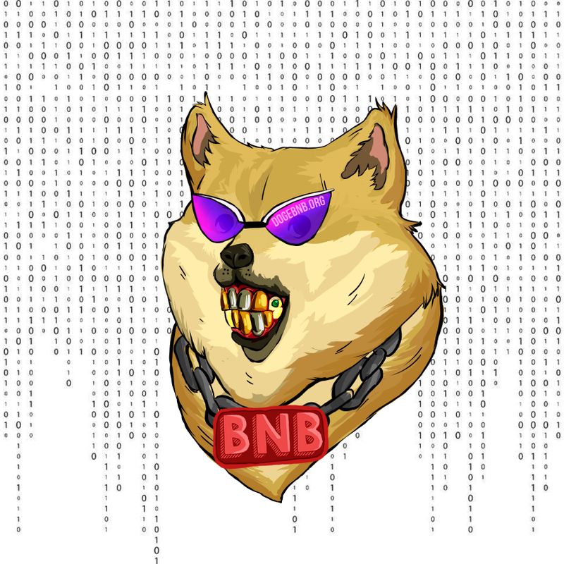 Nft DogeBNB.org X-Collection #1 