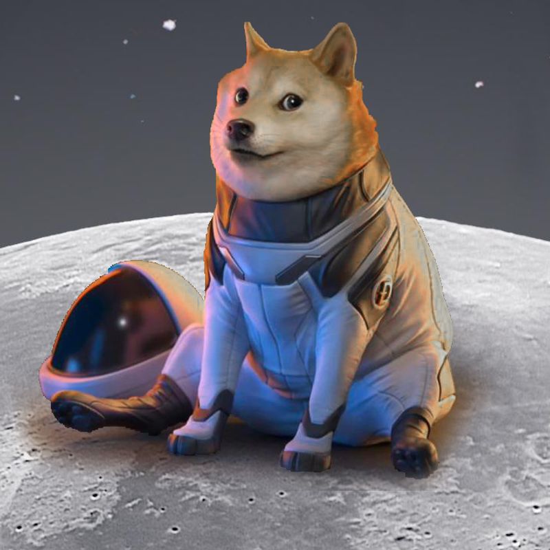 Nft Doge to the Moon 