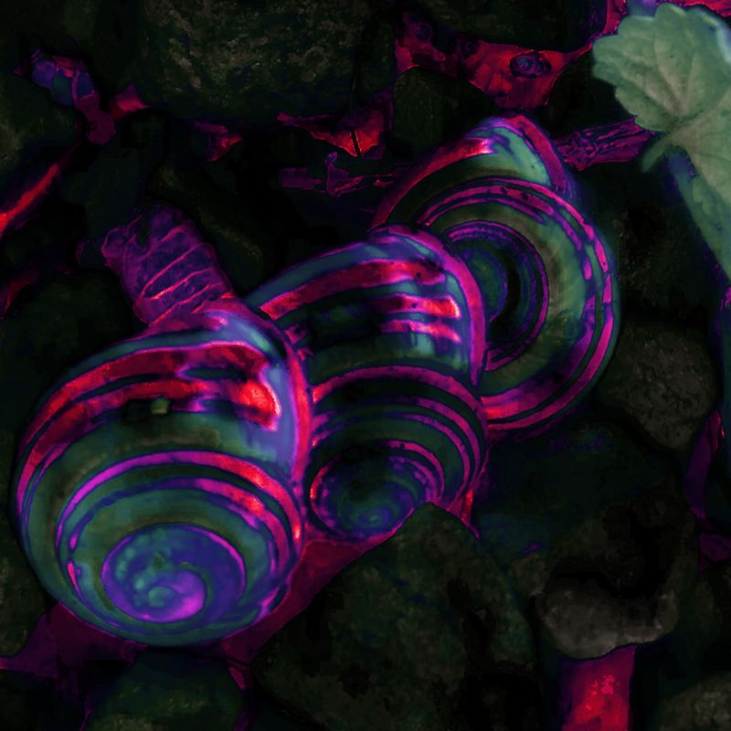 Nft MGBM ARTWORKS#1 Snails