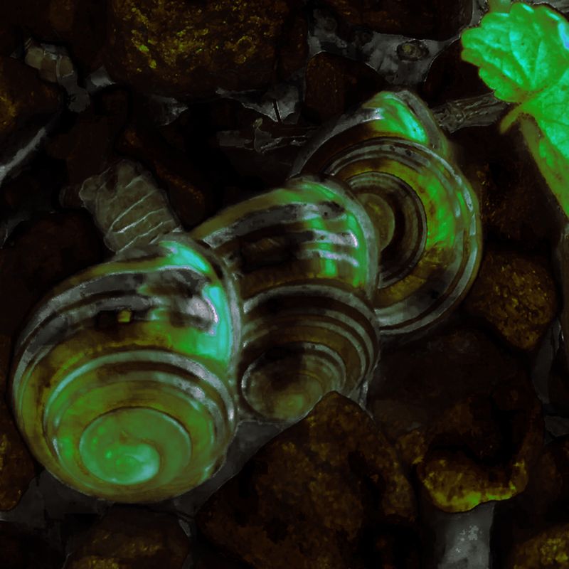 Nft MGBM ARTWORKS #4 Snails
