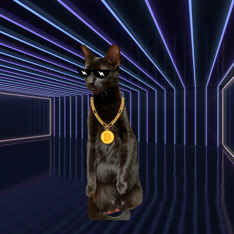Nft Bitcoin Cat 01
