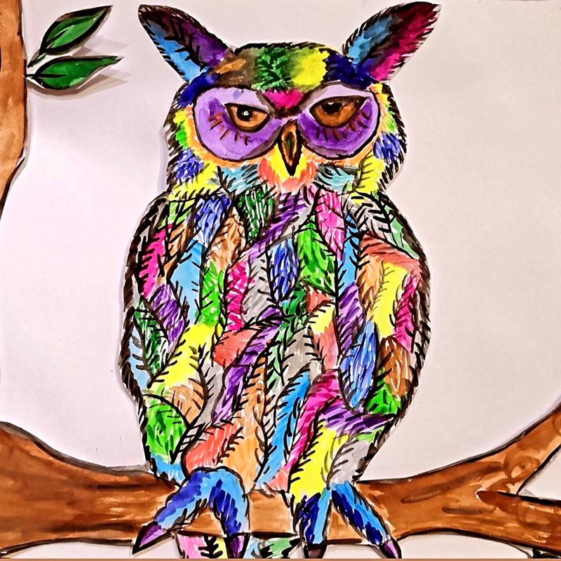 Nft Owl 🦉 